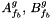 $ A_{\fib}^g , \, B_{\fib}^g $