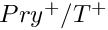 $ Pr y^+/T^+ $