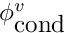 $ \phi^{v}_{\mbox{cond}} $