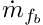 $ \dot{m}_\fib $
