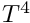 $T^4$