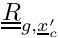 $\tens{R}_{g,\centip}$
