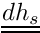 $\tens{dh_s} $