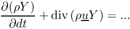 $ \dfrac{\partial{(\rho \varia)}}{\partial{dt}} + \divs{(\rho \vect{u} \varia)} = ...$