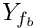 $ \varia_\fib $