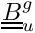 $ \tens{B}_u^g $