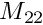 $M_{22}$
