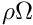 $ \rho \Omega $