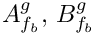 $ A_{\fib}^g , \, B_{\fib}^g $