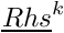 $ \vect{Rhs}^k $