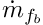 $ \dot{m}_\fib $