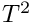 $T^2$