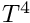 $T^4$