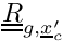 $\tens{R}_{g,\centip}$