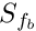 $ S_\fib $