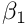 $\beta_1$
