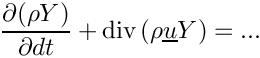 $ \dfrac{\partial{(\rho \varia)}}{\partial{dt}} + \divs{(\rho \vect{u} \varia)} = ...$