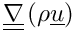 $ \gradt \left(\rho \vect{u} \right) $