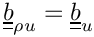 $ \tens{b}_{\rho u} = \tens{b}_u $