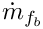 $ \dot{m}_\fib $