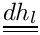 $ \tens{dh_l} $