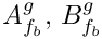 $ A_{\fib}^g , \, B_{\fib}^g $