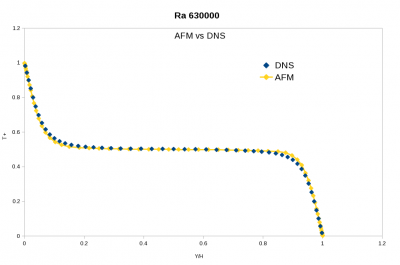 afm_dns.png