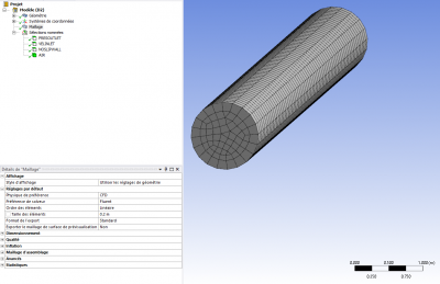 Meshing_2.PNG