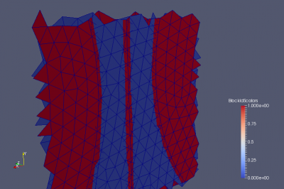 boundary_faces_view.png